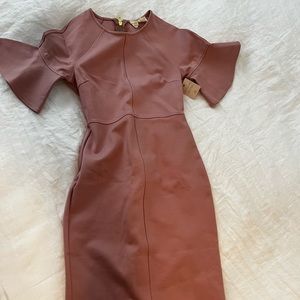 Pink RP dress size xxsmall (new with tag)